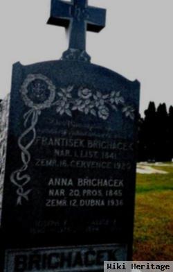 Anna Pokorny Brichacek