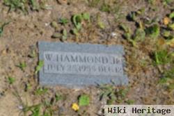 W. Hammond Mcelroy, Jr