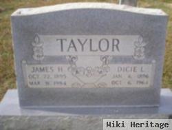 James H Taylor