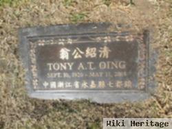 Tony Au-Tung Oing