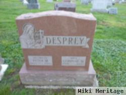Peter M. Desprey