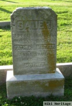 Peter J Sauer