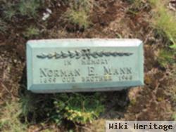 Norman Edwin Mann