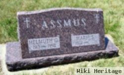 Helmuth G Assmus