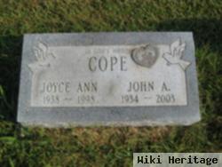 Joyce Ann Cope