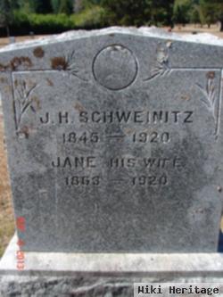 Jane Schweinitz