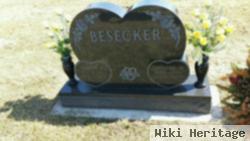 Denise Faye "karns" Besecker