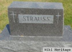 Henry J Strauss