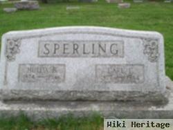 Hulda Bertha Lenz Sperling