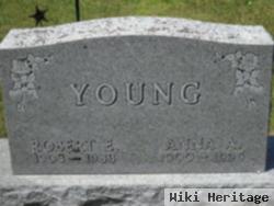 Robert E Young