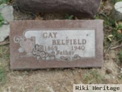 Gay Belfield