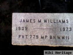 James M. Williams