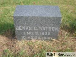 Jenks G. Watson