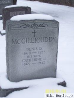 Denis D Mcgillicuddy