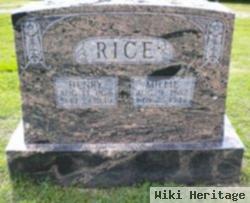 Henry Rice