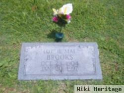 Lottie Mae Waggener Brooks