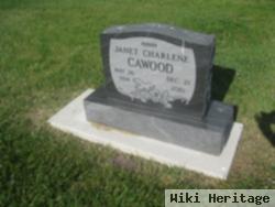 Janet C Kellogg Cawood