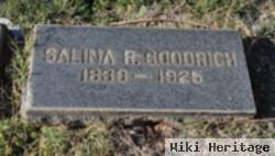 Salina R Goodrich