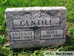 Antonio Gentile