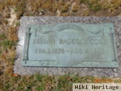 Elijah Bascom Cole