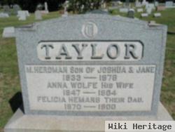 Rachel Ann "anna" Wolfe Taylor