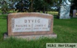 James C Dyvig