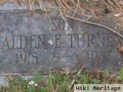 Alden E. Turner