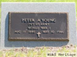 Peter A Young