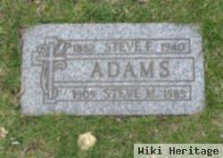 Steve M Adams