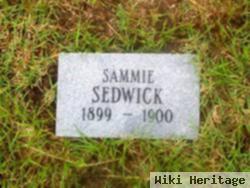 Sammie Sedwick