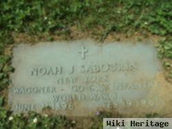 Noah J Sabourin