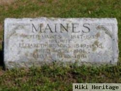 Elizabeth Brooks Maines