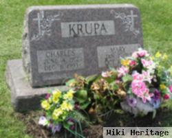 Charles R Krupa