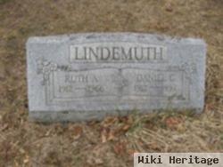 Daniel G Lindemuth