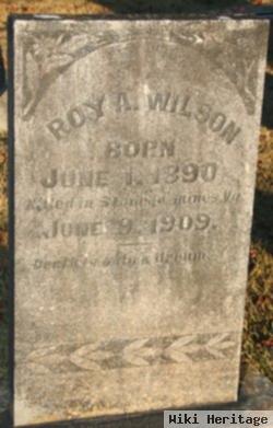 Roy A. Wilson