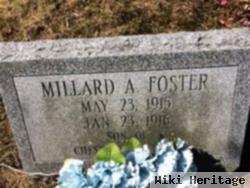 Millard A Foster