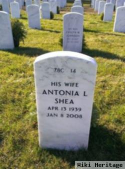 Antonia L Shea