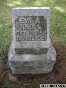 Eva A Knoll