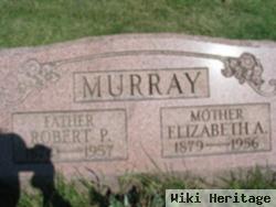 Robert Potter Murray