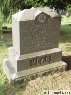 Belinda V. Mead