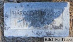 Harold B Downs