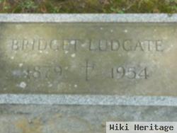 Bridget F Mahady Ludgate