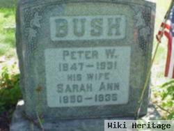 Peter Wilson Bush