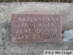 Charlane Ann Linkemyer