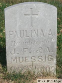 Paulina A. Muessig