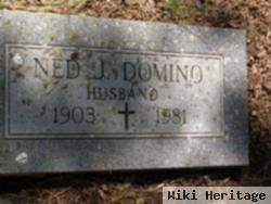 Ned J Domino