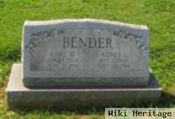 Agnes L Steigerwalt Bender