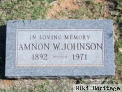 Amnon W. Johnson