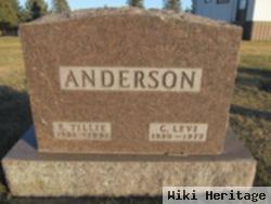 Carl Levi Anderson