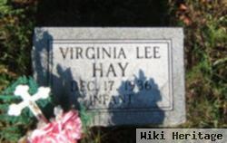 Virginia Lee Hay